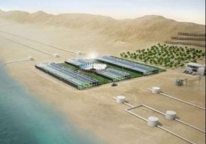 công nghệ phủ xanh sa mạc