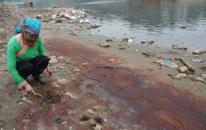 hình ảnh ô nhiễm tại sông hồng