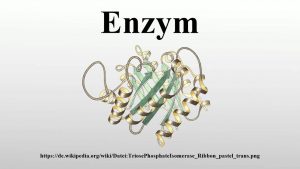 Enzyme thủy phân trong công nghệ thực phẩm